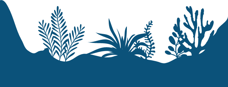 Front reef