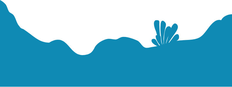 Middle reef